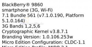 BlackBerry Torch 9860 OS 7.1.0.190