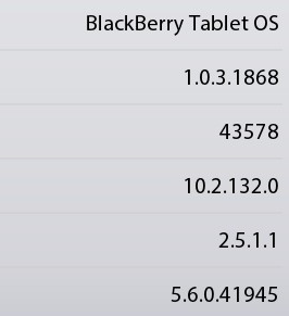 BlackBerry Tablet OS 1.0.3.1868 Dauertest